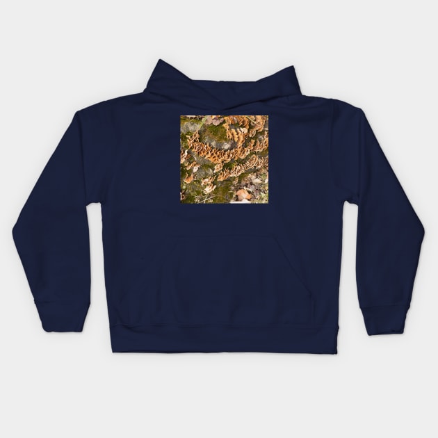 Bracket fungus Kids Hoodie by thadz